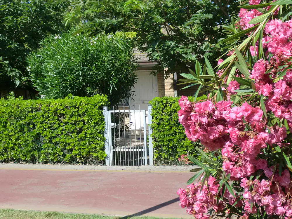 bungalow - residence marche - fermo - vacanza con i tuoi pet